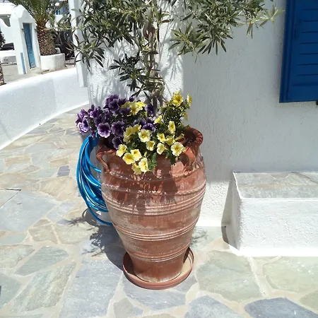 Filoxenia Διαμέρισμα *