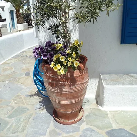 Apartament Filoxenia