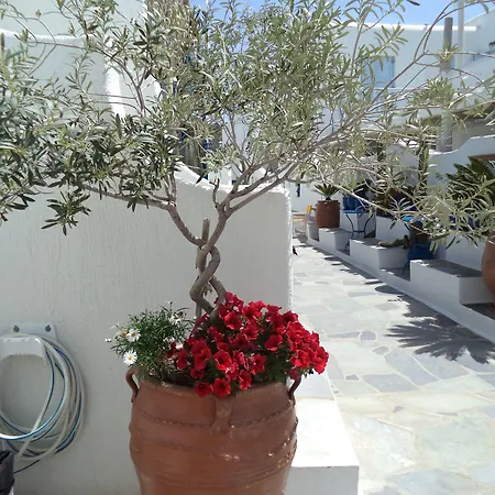 Filoxenia Ορνός